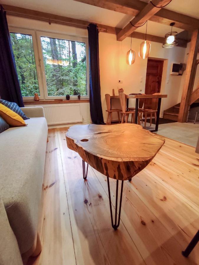 Konwaliowe Zacisze - Chillout W Lesnej Aurze Villa Wilga Exterior photo